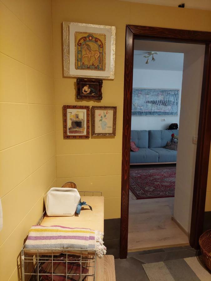 Apartma Campitelli View *